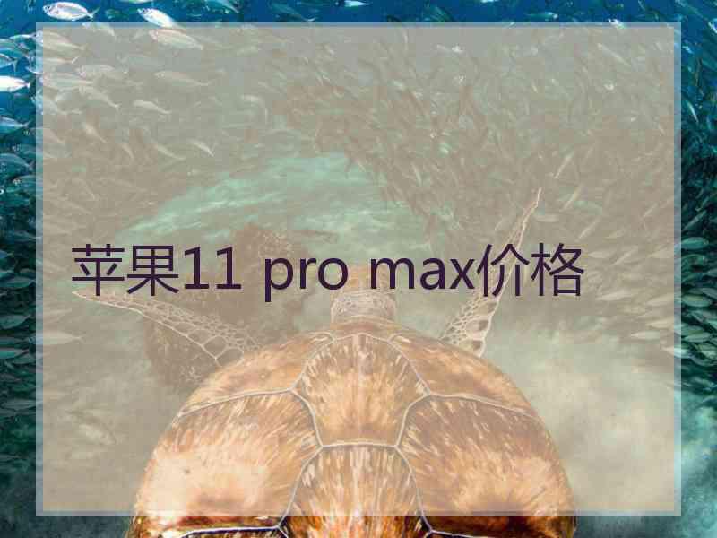 苹果11 pro max价格