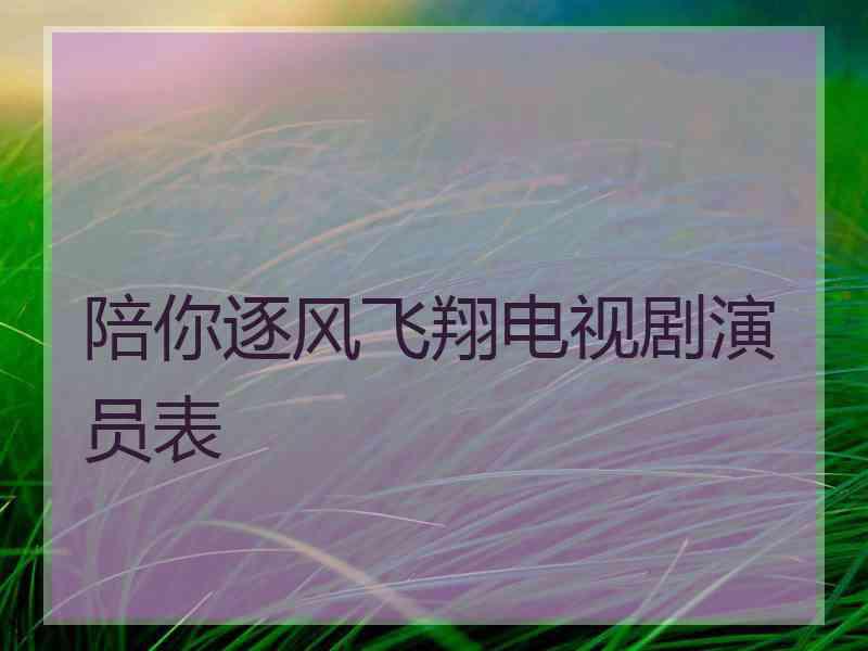 陪你逐风飞翔电视剧演员表