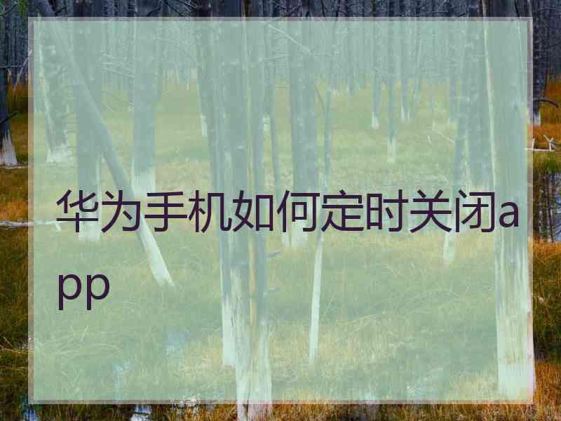 华为手机如何定时关闭app