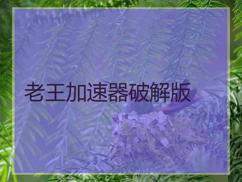 老王加速器破解版