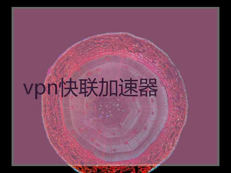 vpn快联加速器