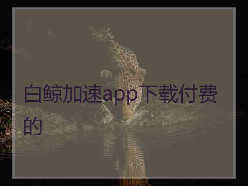 白鲸加速app下载付费的