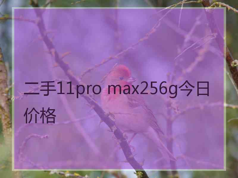 二手11pro max256g今日价格