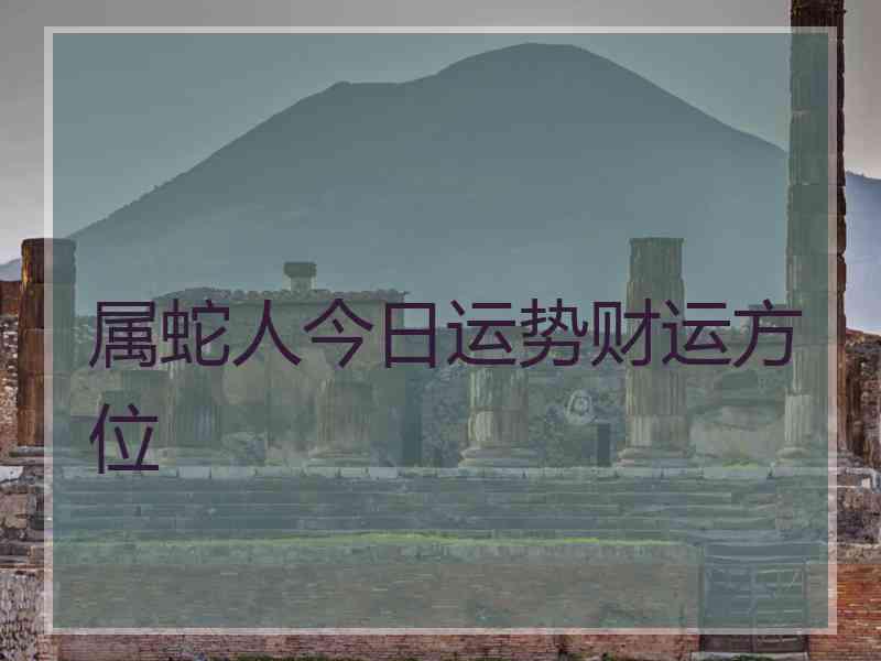 属蛇人今日运势财运方位