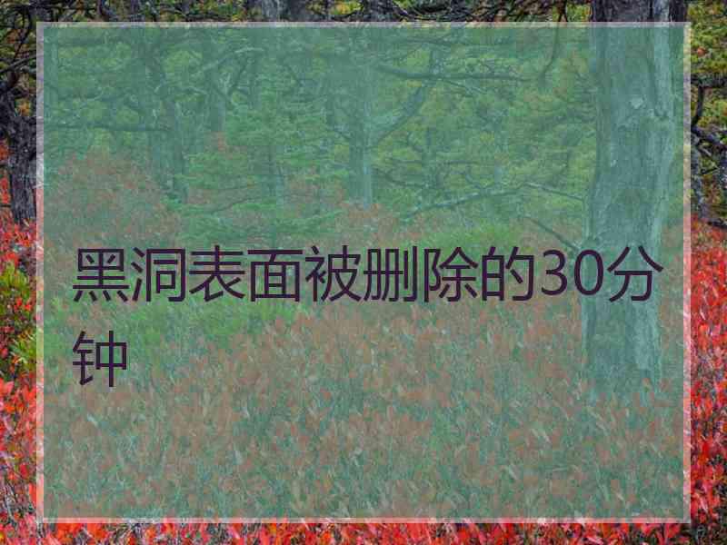 黑洞表面被删除的30分钟