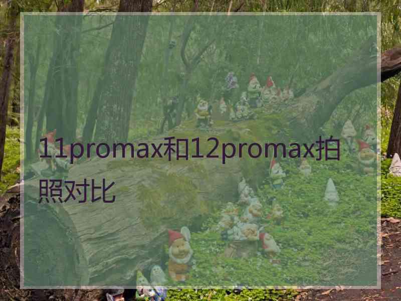 11promax和12promax拍照对比