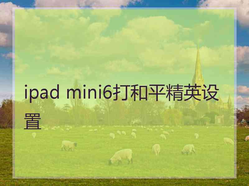 ipad mini6打和平精英设置