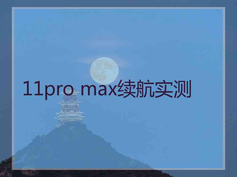 11pro max续航实测