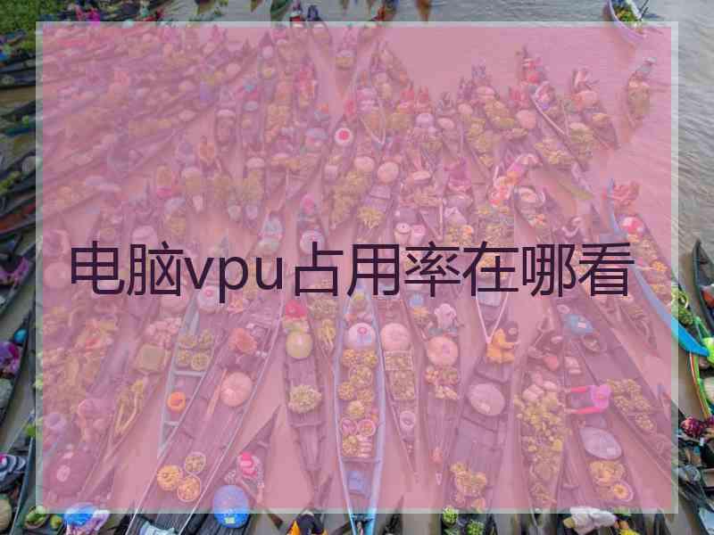 电脑vpu占用率在哪看