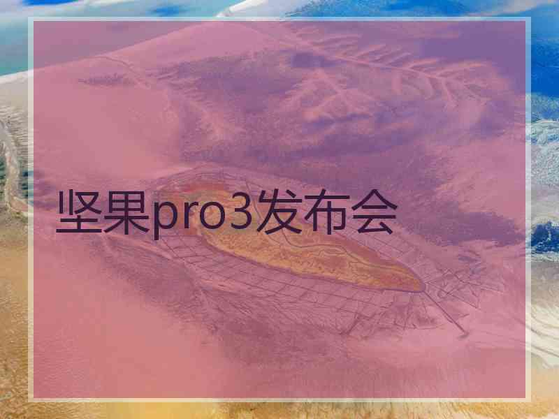 坚果pro3发布会