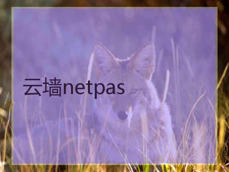 云墙netpas