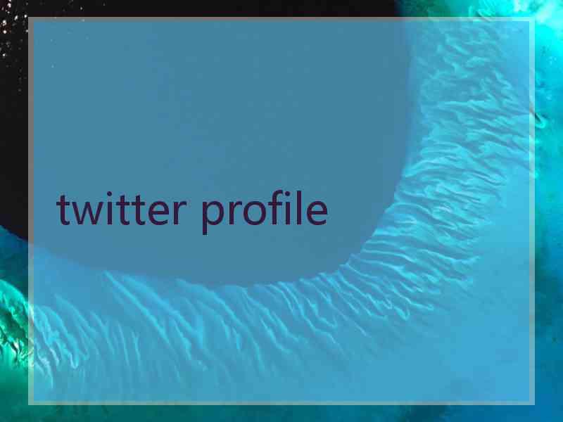 twitter profile