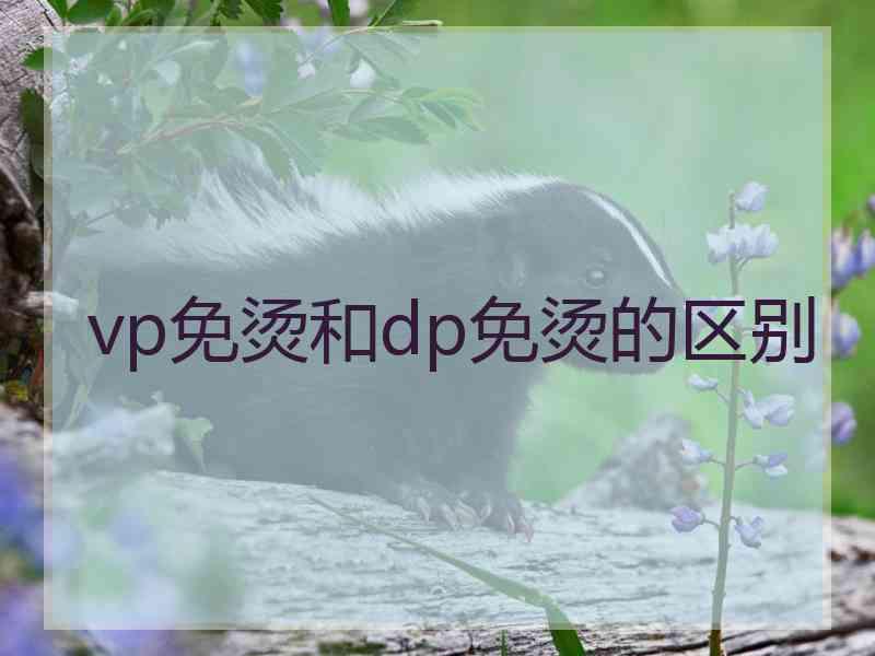 vp免烫和dp免烫的区别