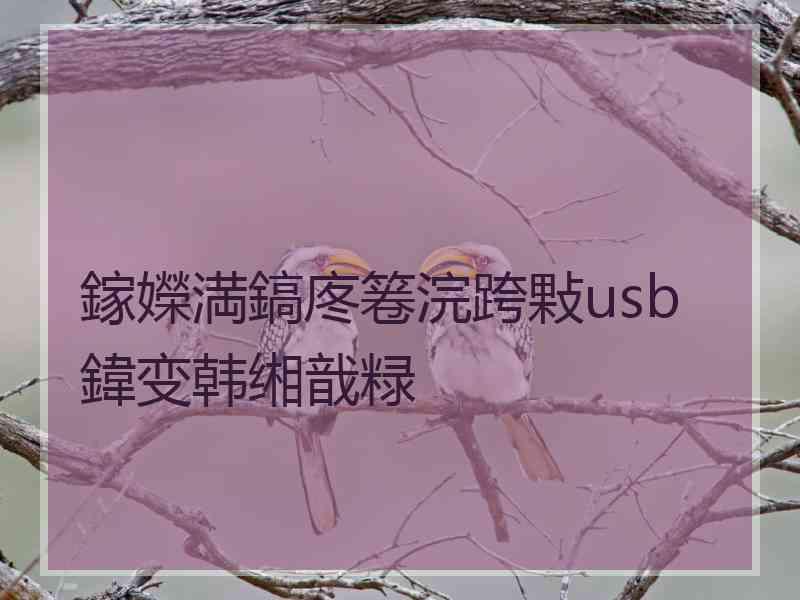 鎵嬫満鎬庝箞浣跨敤usb鍏变韩缃戠粶