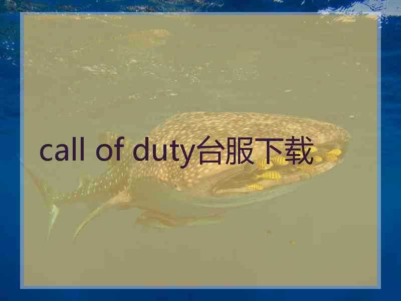 call of duty台服下载