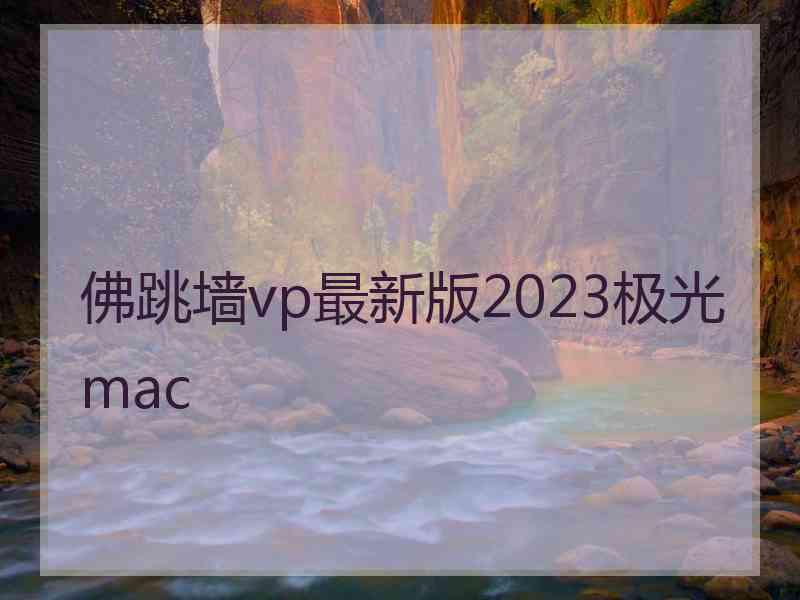 佛跳墙vp最新版2023极光 mac