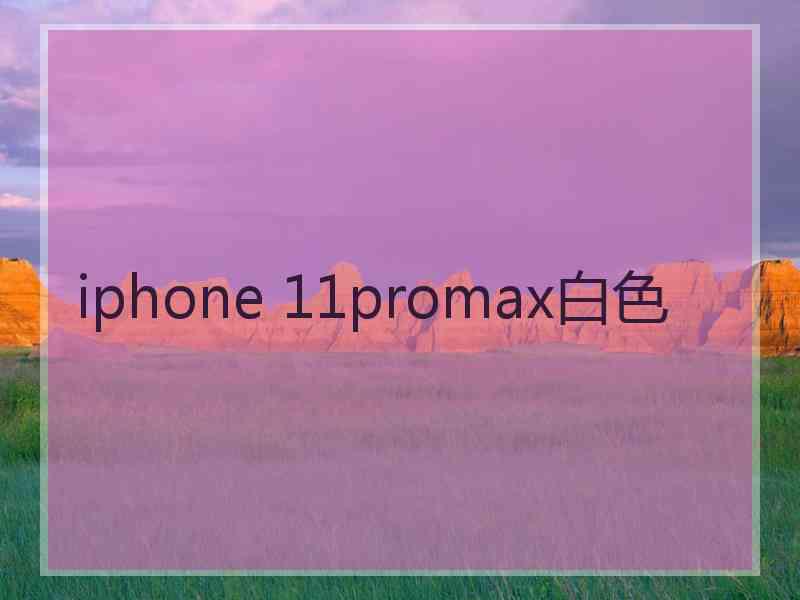 iphone 11promax白色