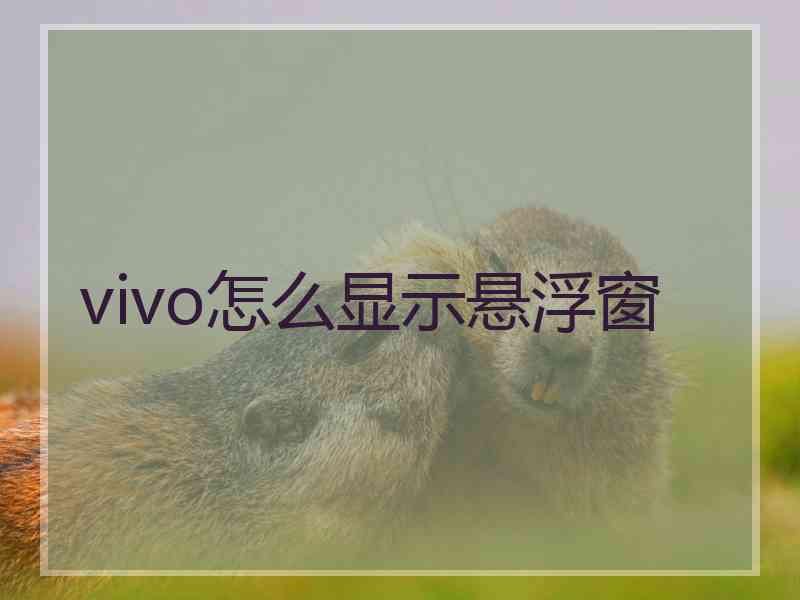 vivo怎么显示悬浮窗