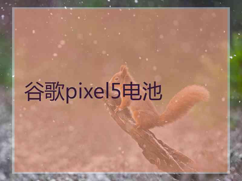 谷歌pixel5电池