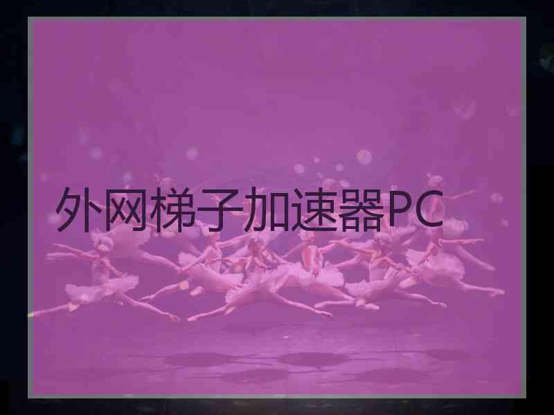 外网梯子加速器PC