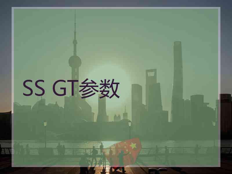 SS GT参数