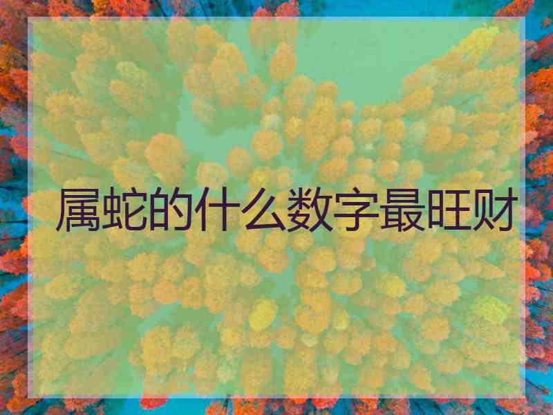 属蛇的什么数字最旺财