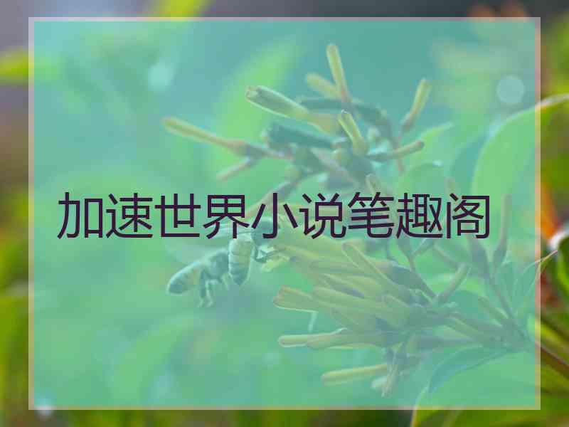 加速世界小说笔趣阁