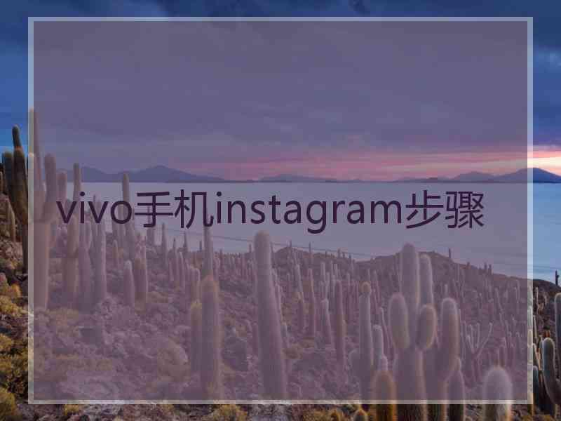 vivo手机instagram步骤