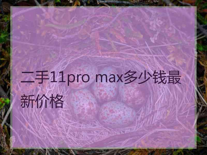 二手11pro max多少钱最新价格