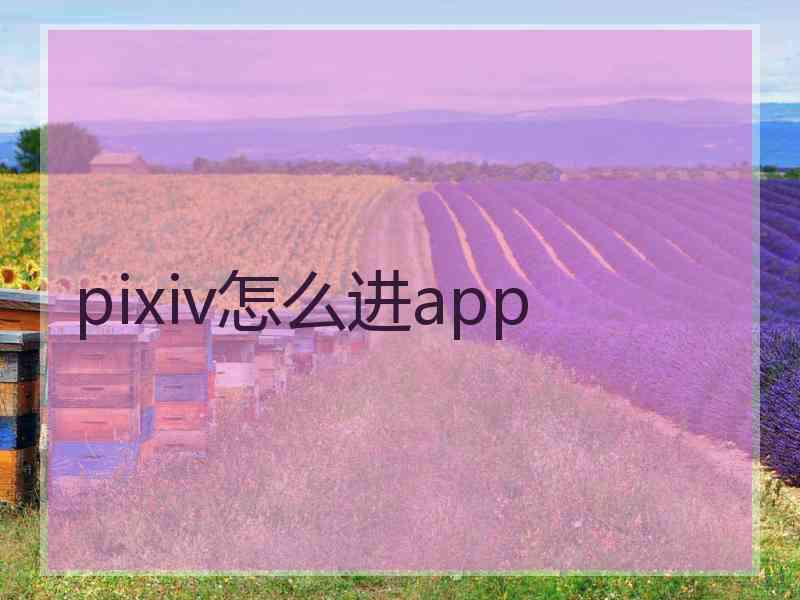 pixiv怎么进app