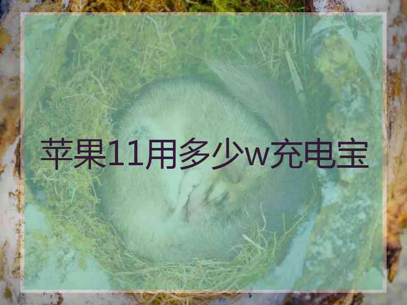 苹果11用多少w充电宝