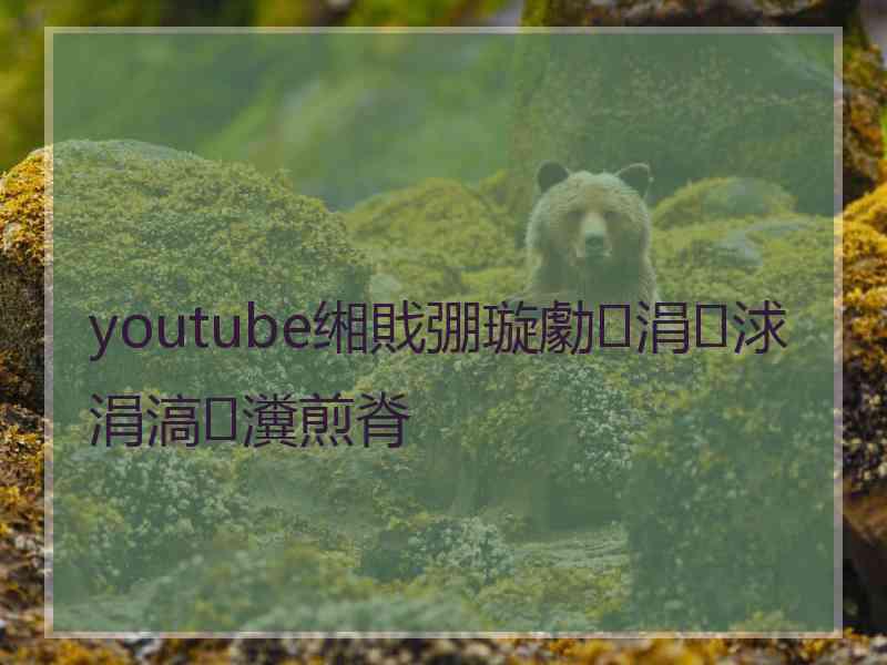 youtube缃戝弸璇勮涓浗涓滈瀵煎脊