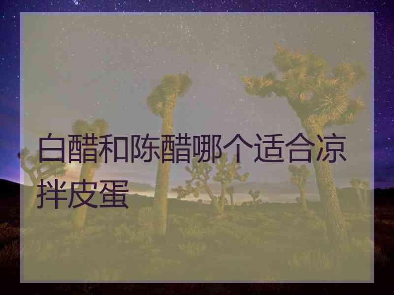 白醋和陈醋哪个适合凉拌皮蛋