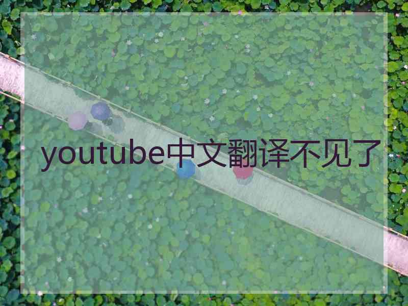 youtube中文翻译不见了