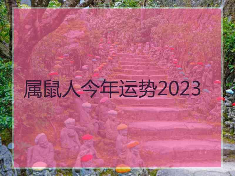 属鼠人今年运势2023