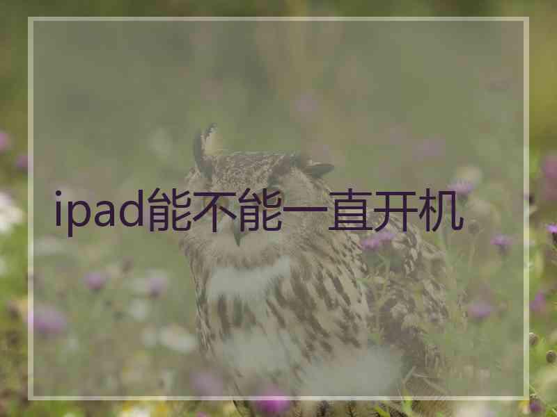 ipad能不能一直开机