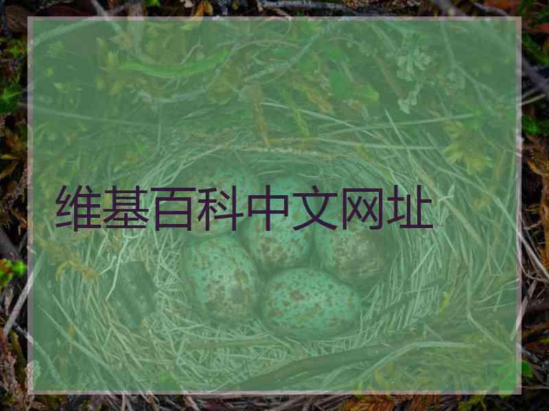 维基百科中文网址