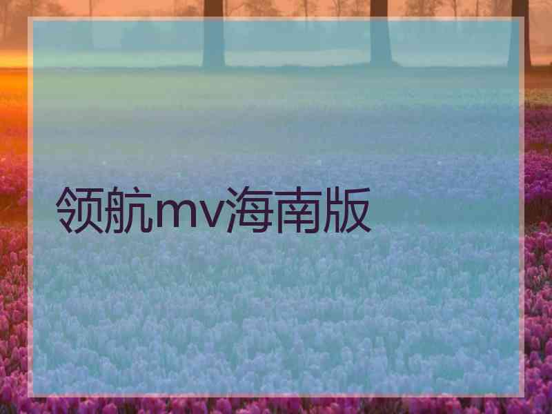 领航mv海南版