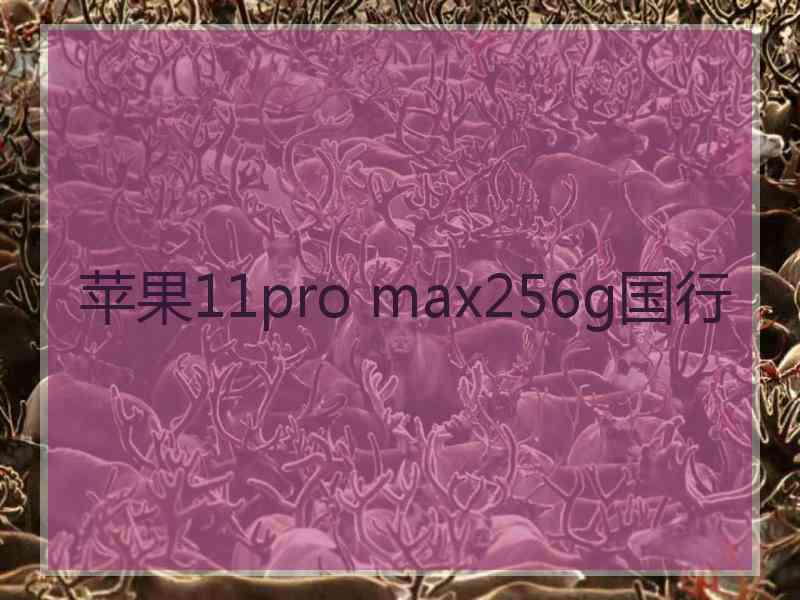 苹果11pro max256g国行