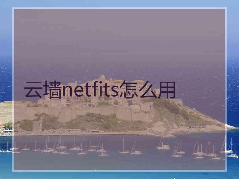 云墙netfits怎么用