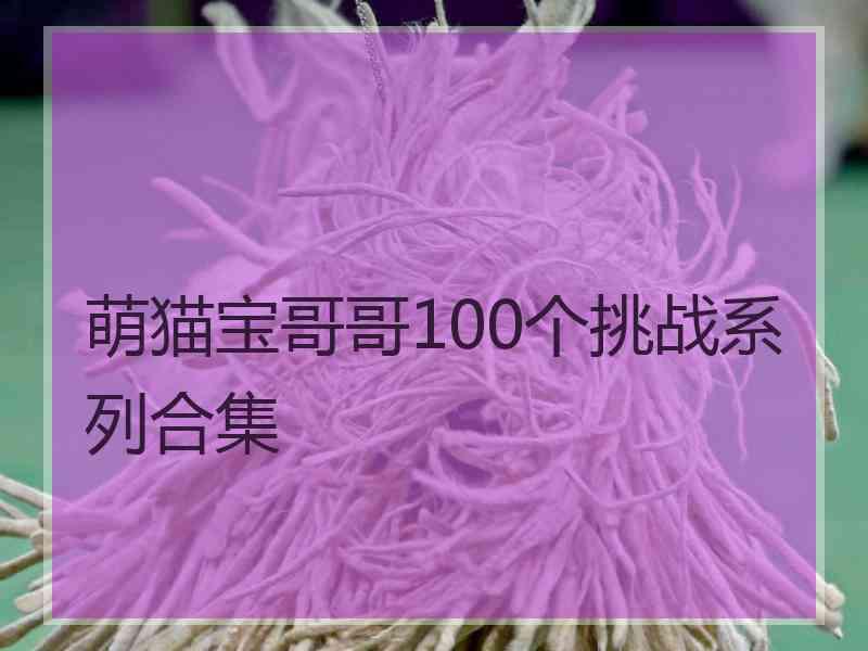 萌猫宝哥哥100个挑战系列合集