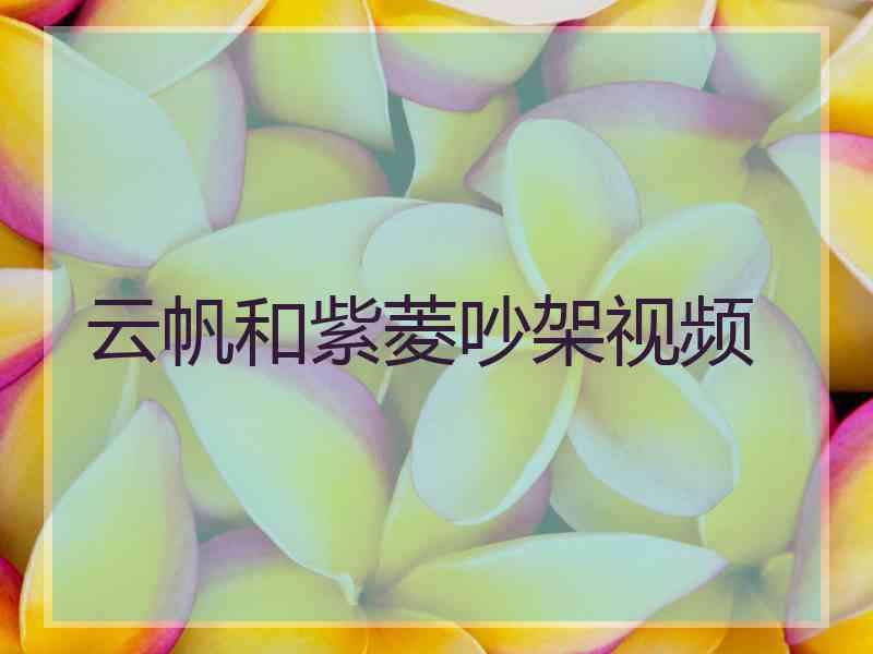 云帆和紫菱吵架视频