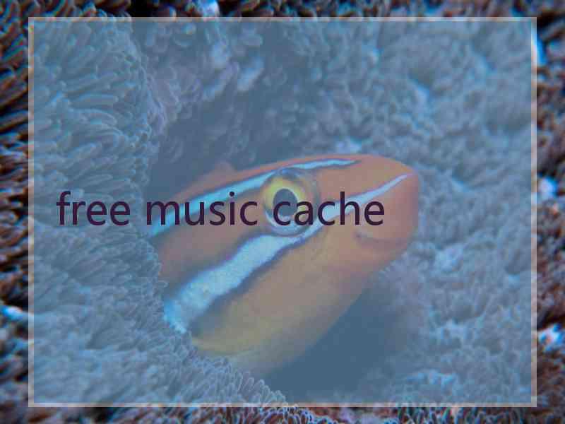 free music cache