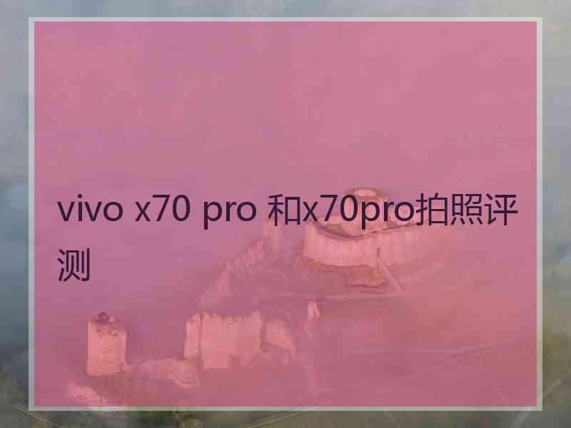 vivo x70 pro 和x70pro拍照评测