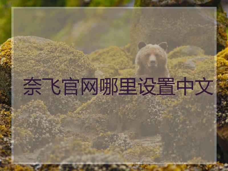 奈飞官网哪里设置中文