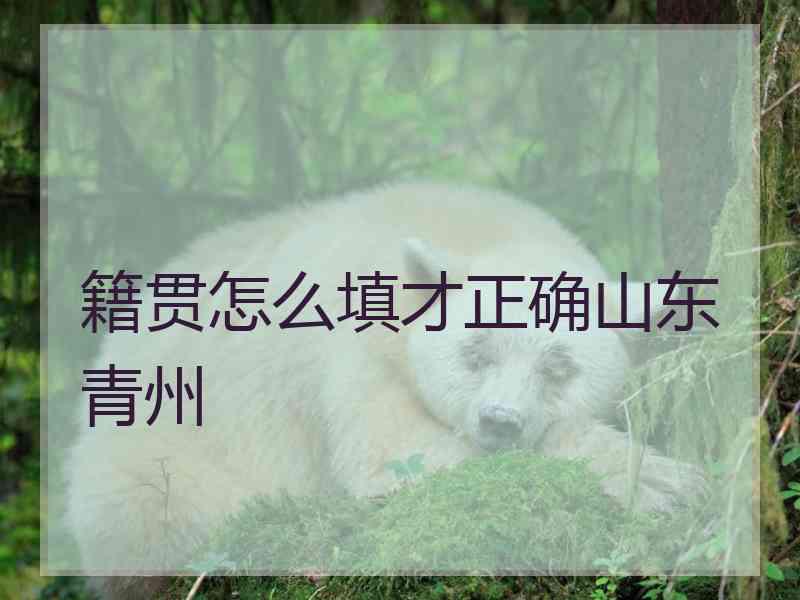 籍贯怎么填才正确山东青州