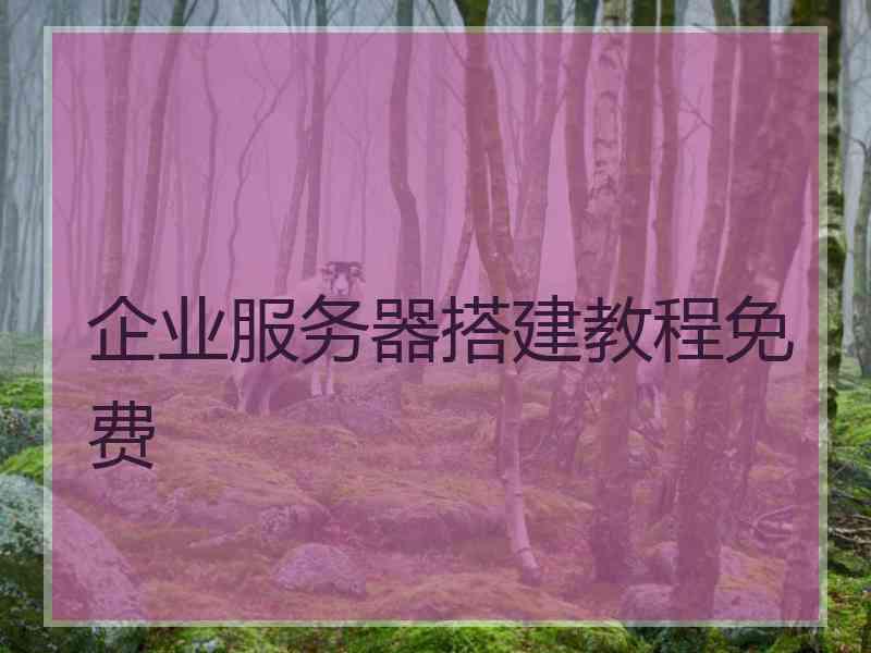 企业服务器搭建教程免费