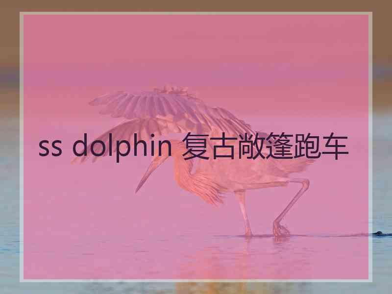 ss dolphin 复古敞篷跑车