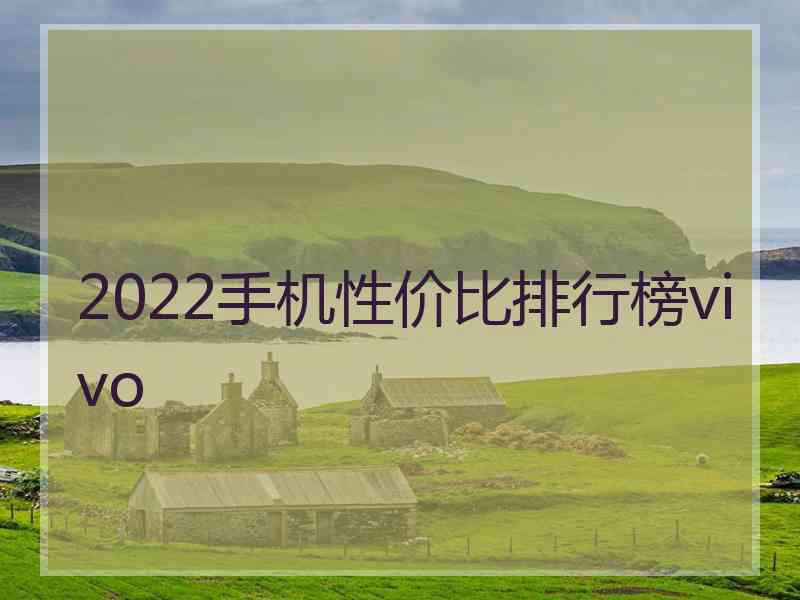 2022手机性价比排行榜vivo