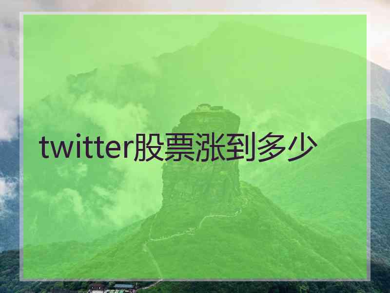 twitter股票涨到多少